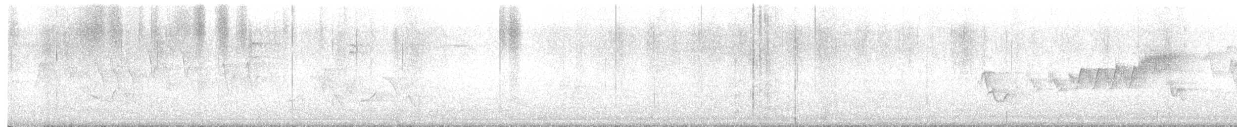 Cerulean Warbler - ML619387455