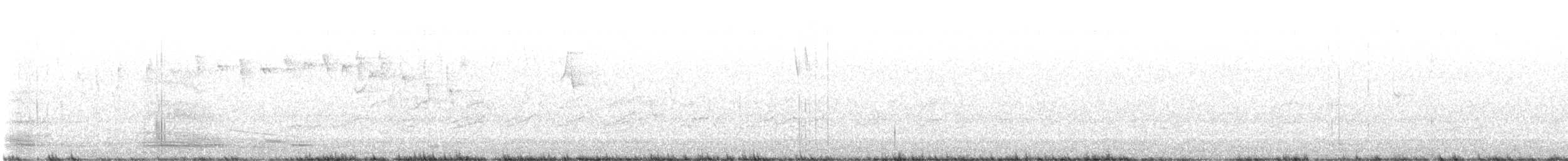 Cuervo de Tasmania - ML619387808