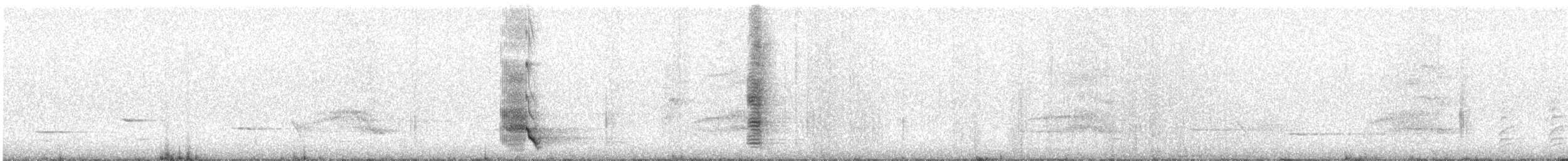Méliphage carillonneur - ML619387943