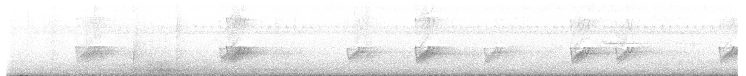 Savannennachtschwalbe - ML619388144