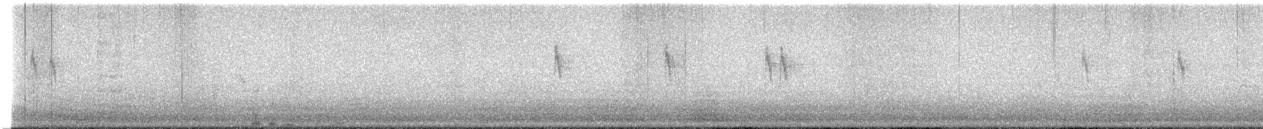 Gray Wagtail - ML619388757
