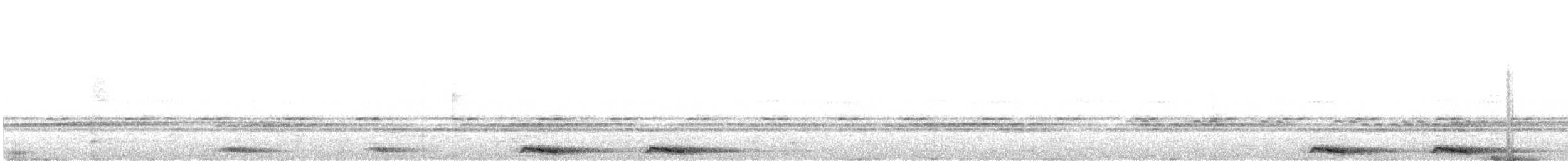 Одноцветная иглоногая сова - ML619388796