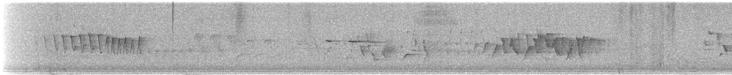 Paruline à calotte noire - ML619388797