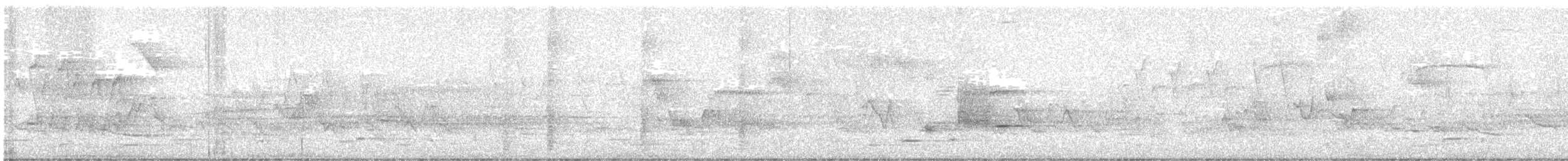 Черногорлая хвойница - ML619388921