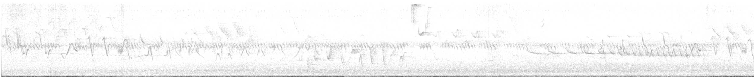 Paruline à gorge grise - ML619389066