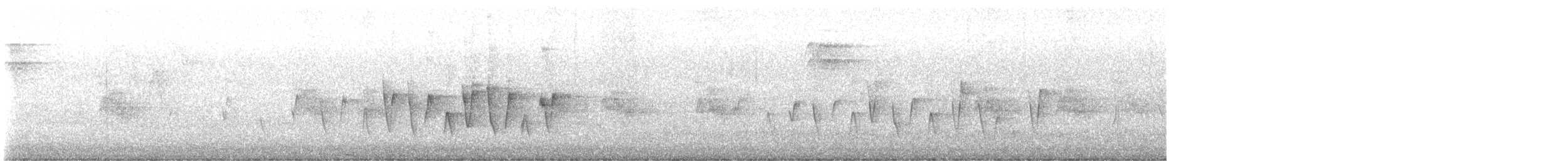 Connecticut Warbler - ML619389129