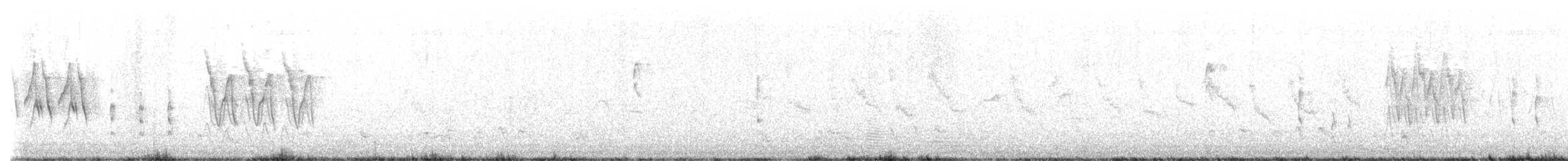 史氏蝗鶯 - ML619389815