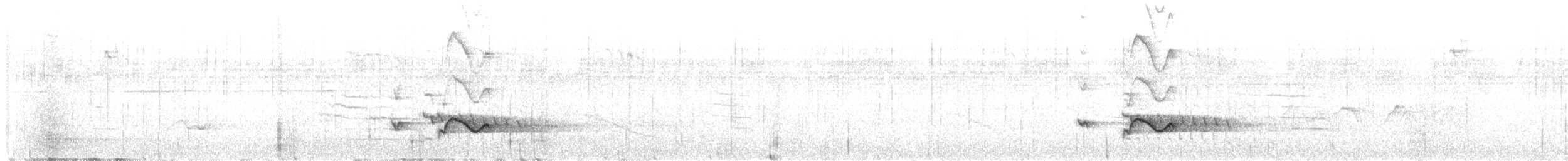 hvitskjegglattertrost - ML619390561