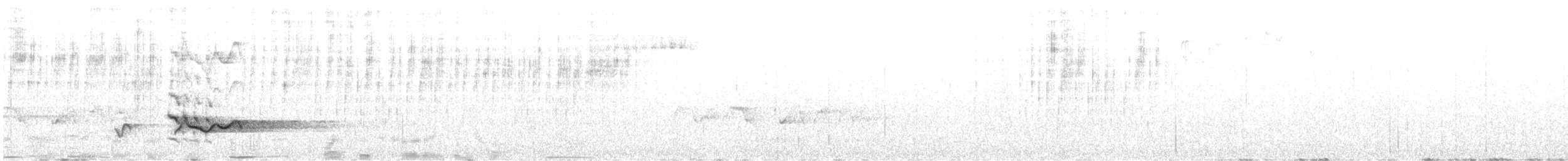hvitskjegglattertrost - ML619390568