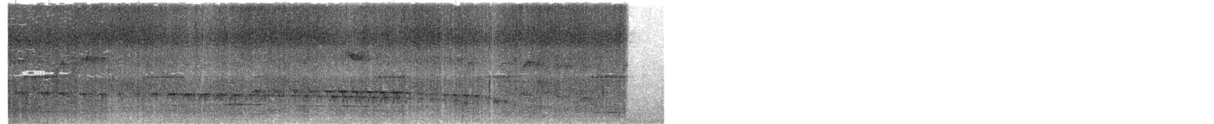 White-browed Antbird - ML619390728