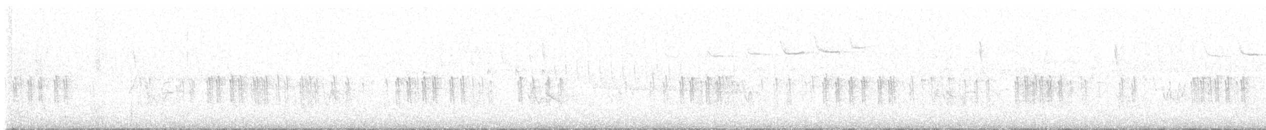 křivka bělokřídlá - ML619391234