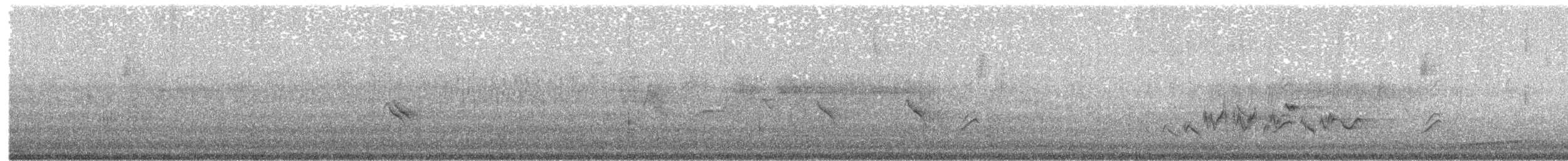 Evening Grosbeak (type 1) - ML619392914