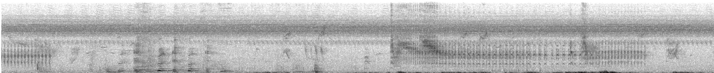 Küçük Pofuduksırt - ML619394535