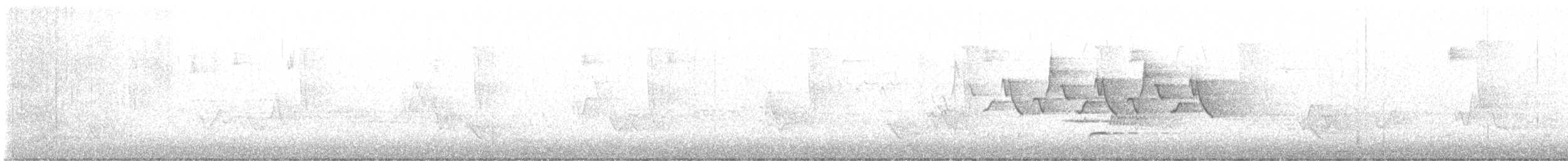 Wood Thrush - ML619394834