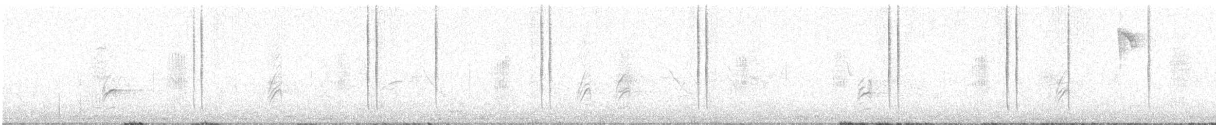 Colibri vesper - ML619396646