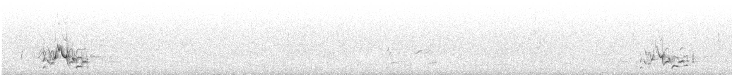 svartsteinskvett - ML619399106