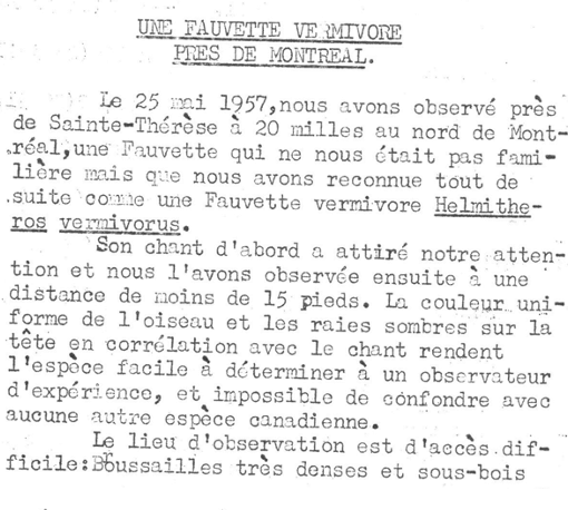 Worm-eating Warbler - ML619402944