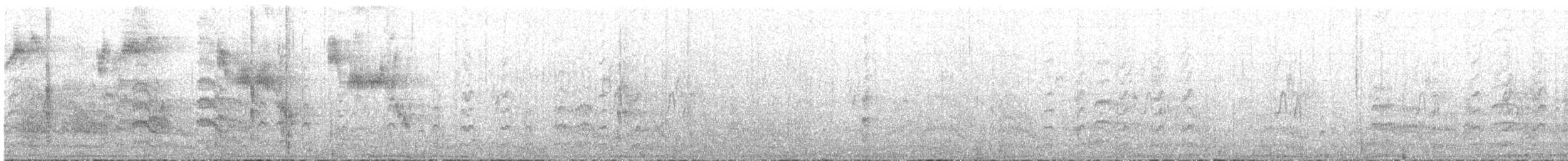Common Tern - ML619403914