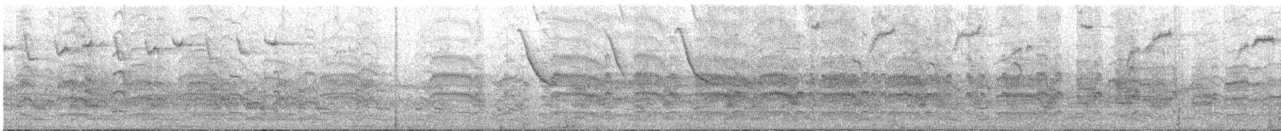 שחפית ים - ML619403956