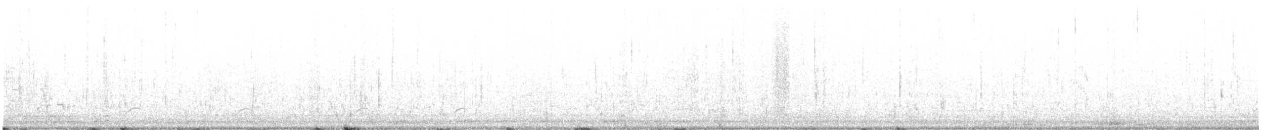 hvithalesvømmesnipe - ML619404121