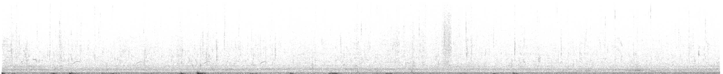 Wilsonwassertreter - ML619404121