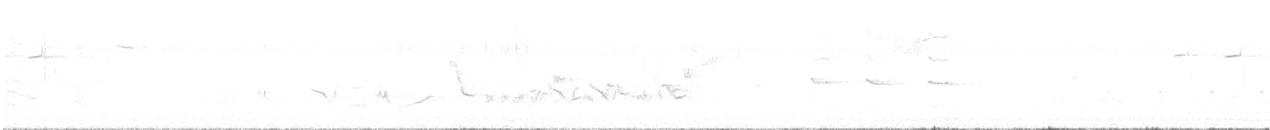 Oriole des vergers - ML619404593