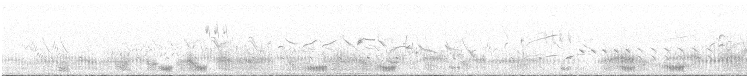 חרטומית ביצות - ML619404982
