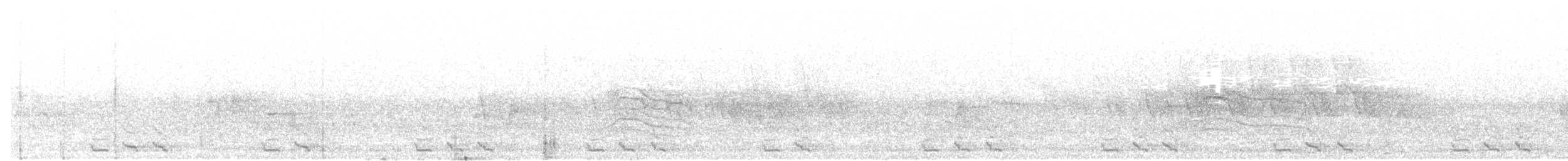Black-billed Cuckoo - ML619405150
