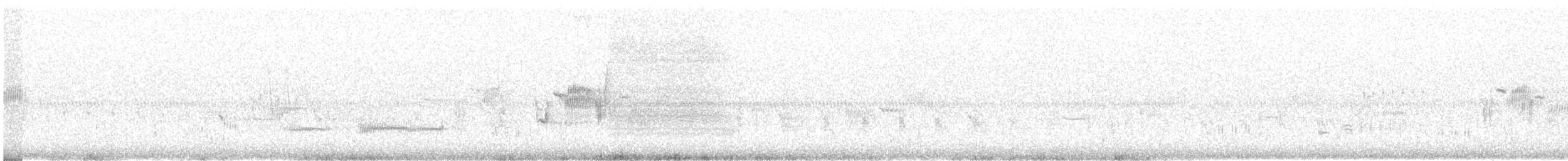 Приморская овсянка-барсучок (maritima/macgillivraii) - ML619405247