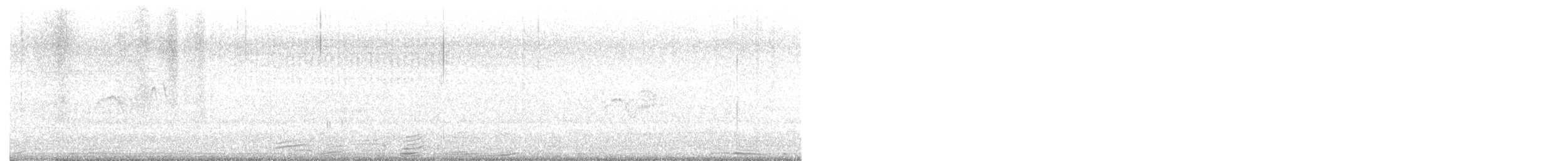 Eastern Phoebe - ML619405576