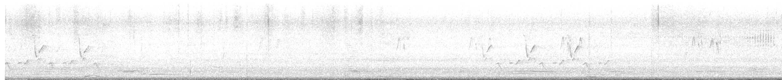 Carolina Wren - ML619405584