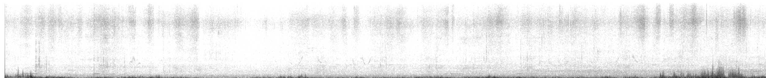 Белокрылая горлица - ML619406263