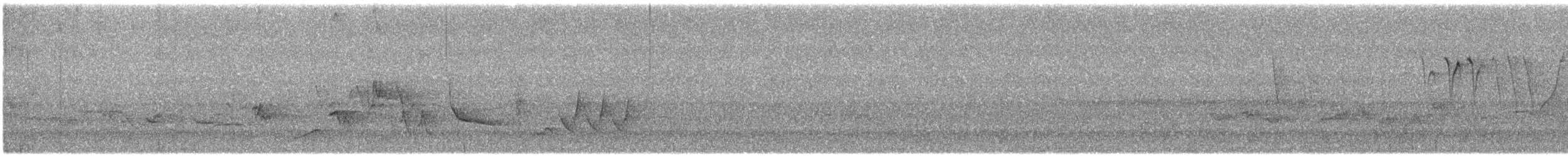 Oriole des vergers - ML619406381