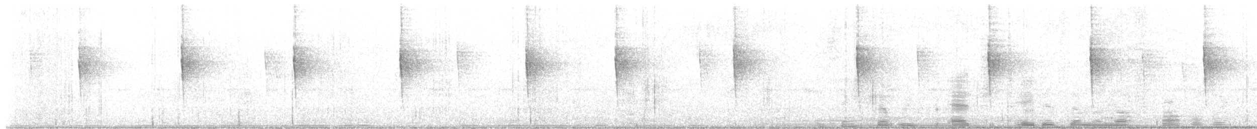 Paruline vermivore - ML619406508