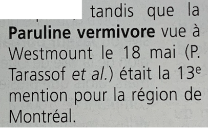 Worm-eating Warbler - ML619407598