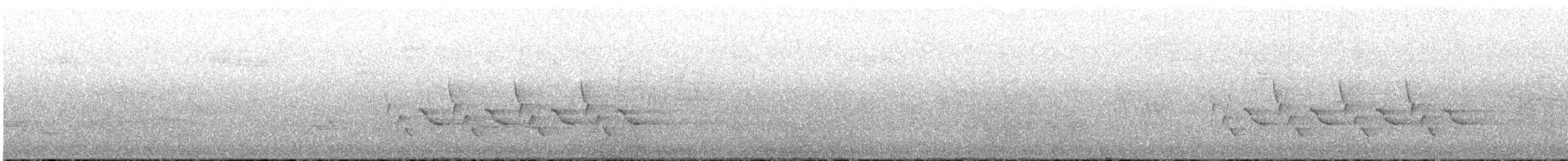 Каролинский крапивник - ML619408882
