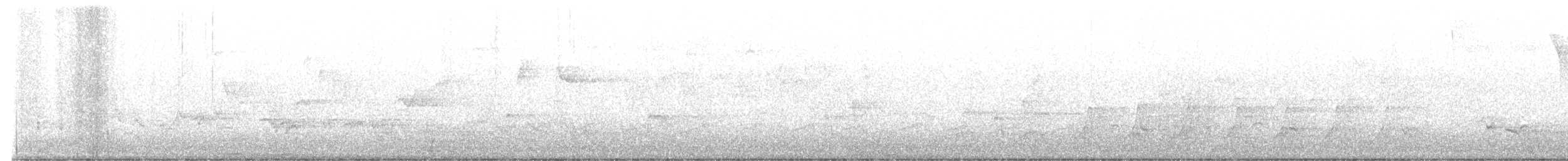 סבכון שחור-כיפה - ML619410357