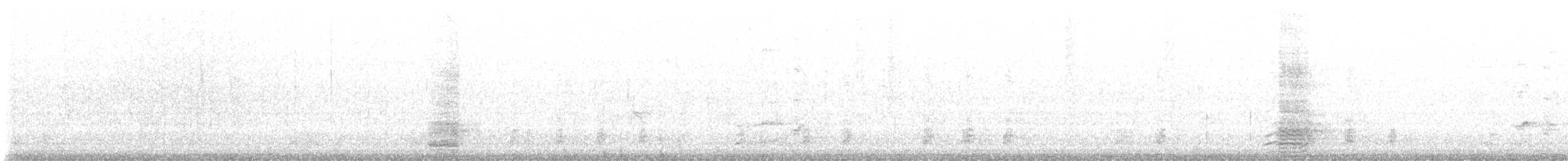 Крижень звичайний - ML619411141