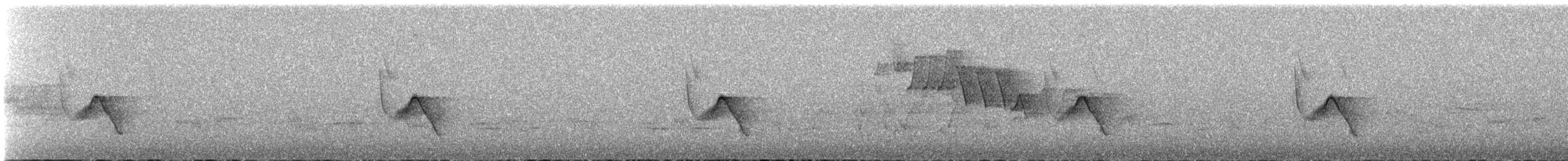 Vireo de Hutton (grupo stephensi) - ML619413158