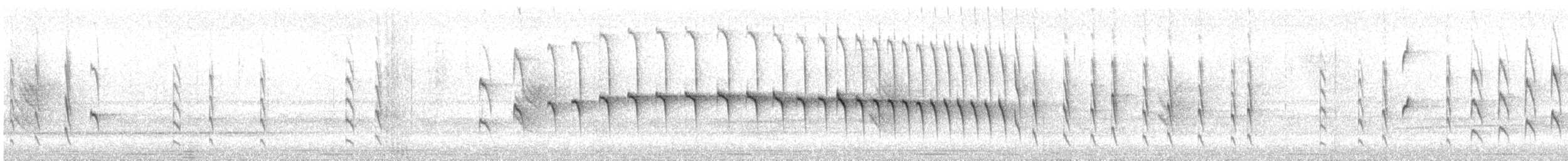 Tropfenflügel-Ameisenfänger - ML619414926