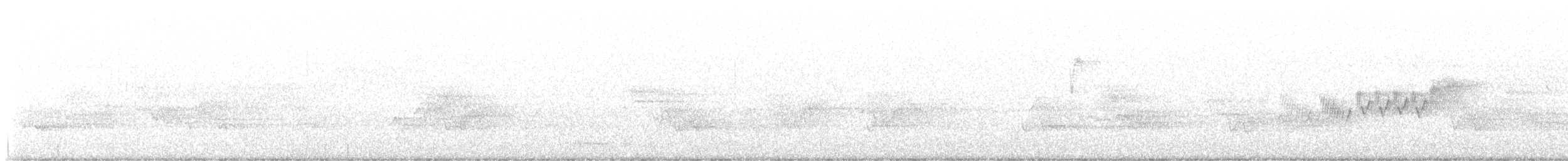 lesňáček modropláštíkový - ML619416692