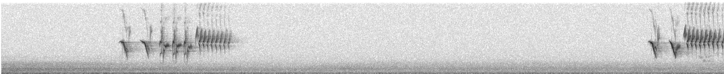 Тауї плямистий - ML619417341