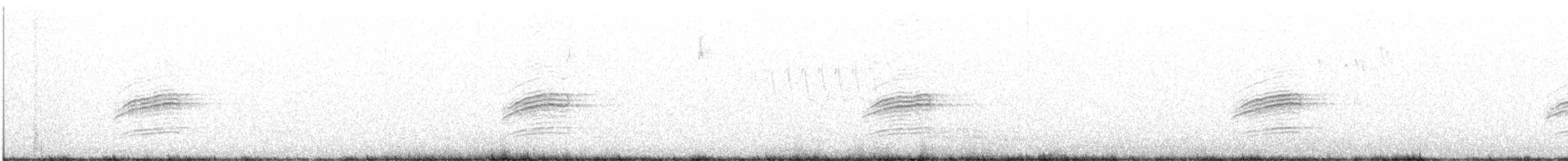 Дрізд-короткодзьоб плямистоволий - ML619418315