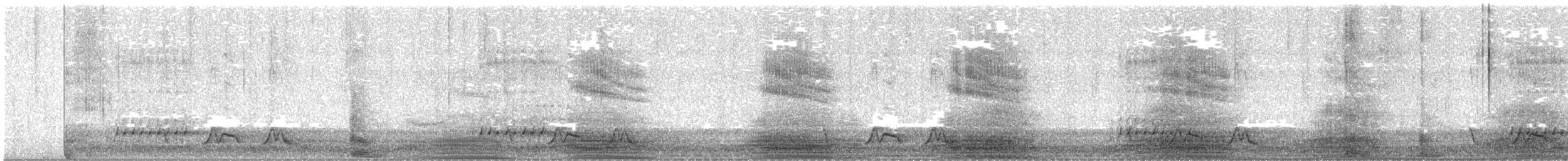 Chuck-will's-widow - ML619419260