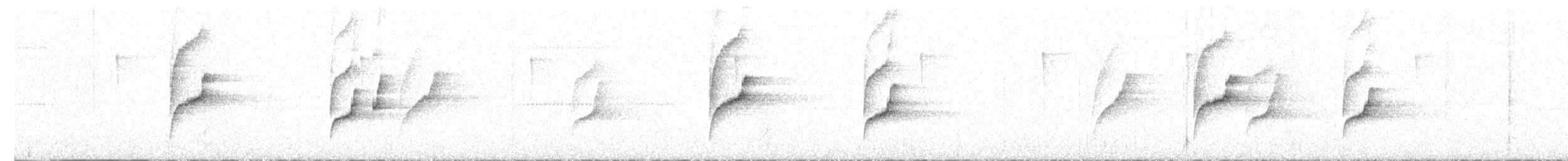 Weißbrauen-Dickichtschlüpfer - ML619421825