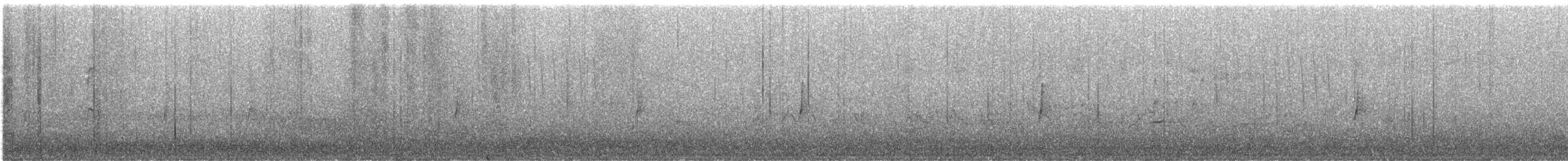 Mosquero sp. (Empidonax sp.) - ML619423011