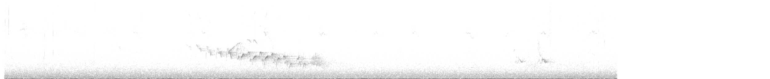Kanaria Handiko txonta urdina - ML619426094