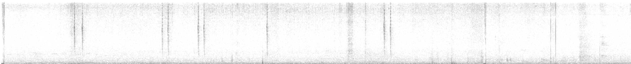 Colibri vesper - ML619427069
