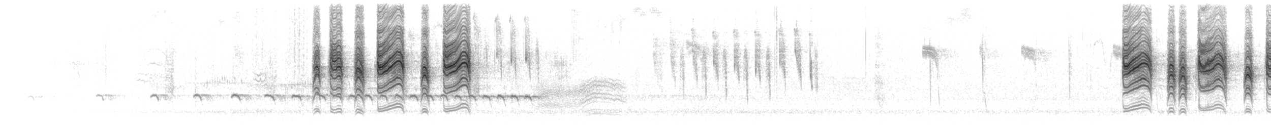 leskot modrošedý [skupina obscura] - ML619429172