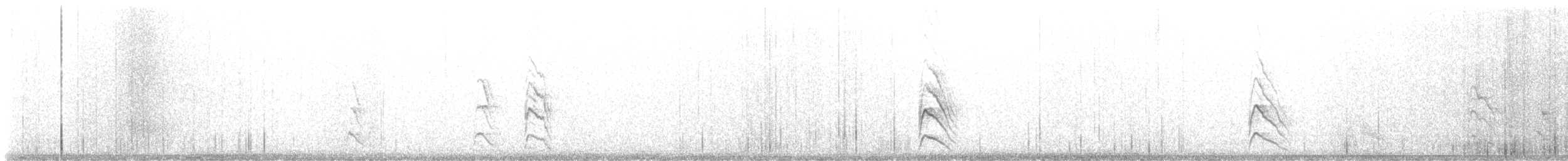 Elf Owl - ML619430616
